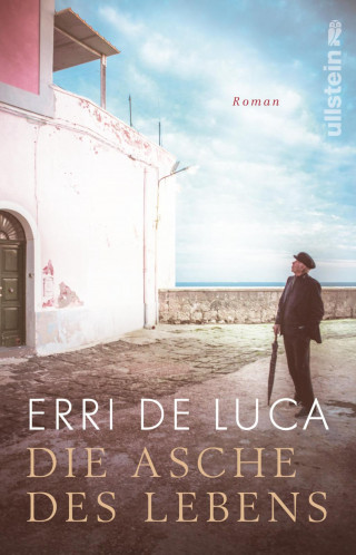 Erri De Luca: Die Asche des Lebens