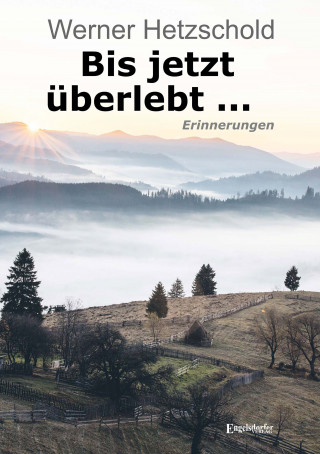 Werner Hetzschold: Bis jetzt überlebt ...