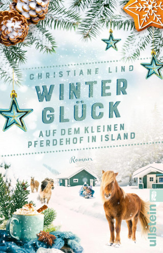Christiane Lind: Winterglück auf dem kleinen Pferdehof in Island