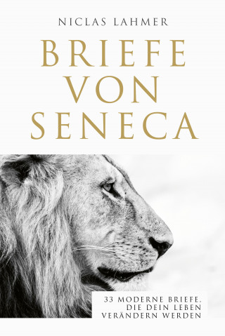 Niclas Lahmer: Briefe von Seneca