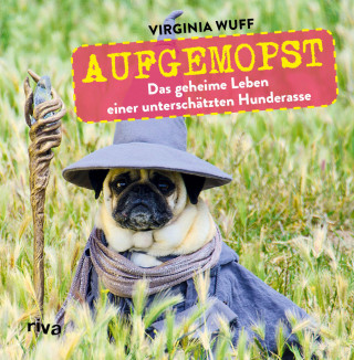 Virginia Wuff: Aufgemopst