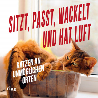 Sitzt, passt, wackelt und hat Luft