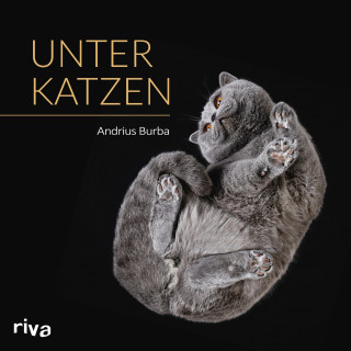 Andrius Burba: Unter Katzen