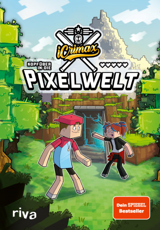 iCrimax, Fionna Frank: iCrimax: Kopfüber in die Pixelwelt
