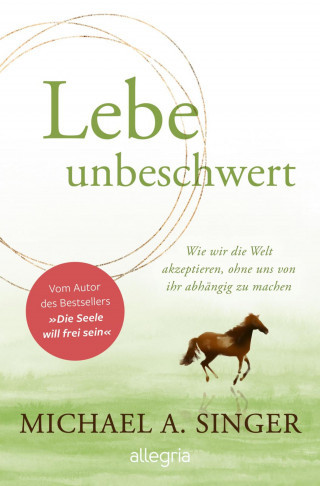 Michael A. Singer: Lebe unbeschwert