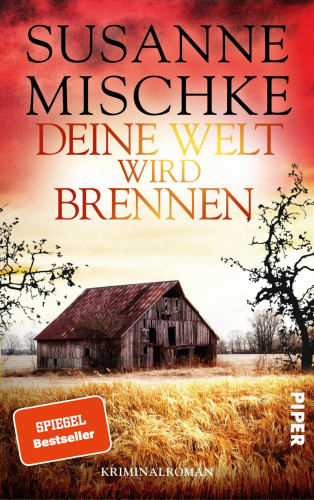 Susanne Mischke: Deine Welt wird brennen