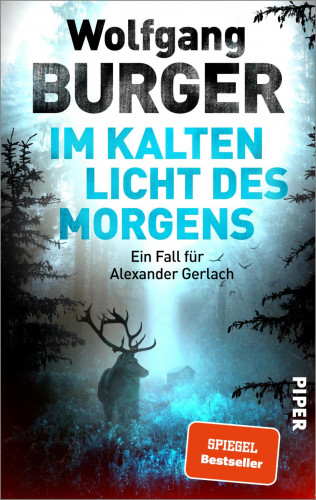 Wolfgang Burger: Im kalten Licht des Morgens