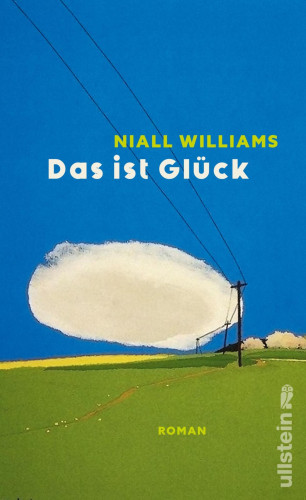 Niall Williams: Das ist Glück