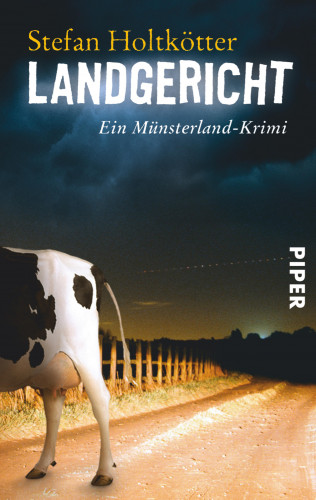 Stefan Holtkötter: Landgericht