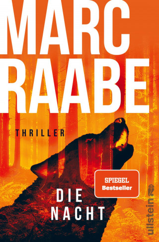 Marc Raabe: Die Nacht