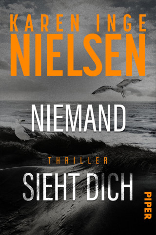 Karen Inge Nielsen: Niemand sieht dich