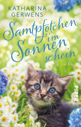 Katharina Gerwens: Samtpfötchen im Sonnenschein