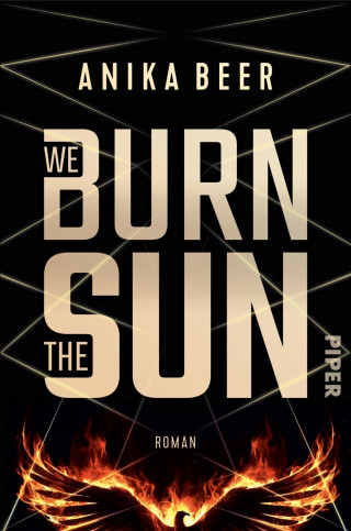 Anika Beer: We Burn the Sun