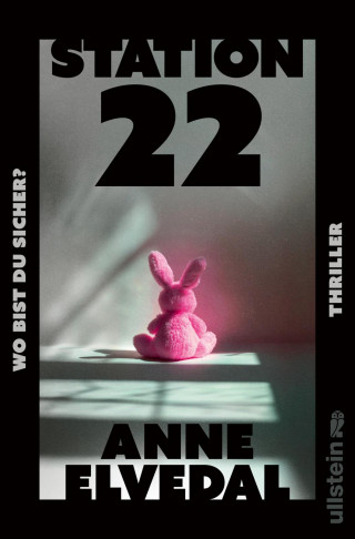 Anne Elvedal: Station 22. Wo bist du sicher?