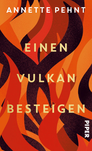 Annette Pehnt: Einen Vulkan besteigen
