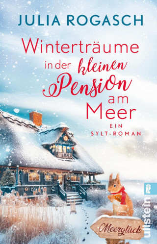 Julia Rogasch: Winterträume in der kleinen Pension am Meer