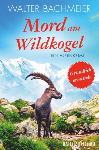 Walter Bachmeier: Mord am Wildkogel