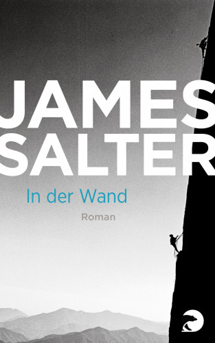 James Salter: In der Wand
