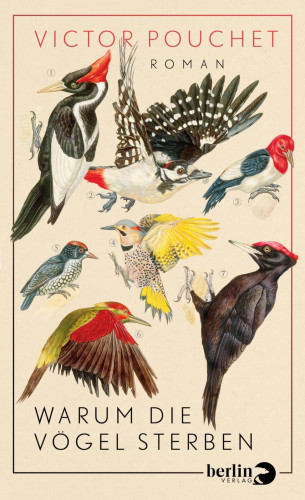 Victor Pouchet: Warum die Vögel sterben