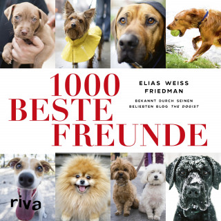Elias Weiss Friedman: 1000 beste Freunde