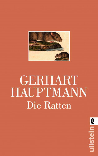 Gerhart Hauptmann: Die Ratten
