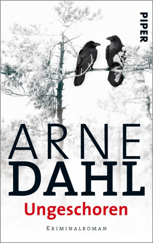 Arne Dahl: Ungeschoren