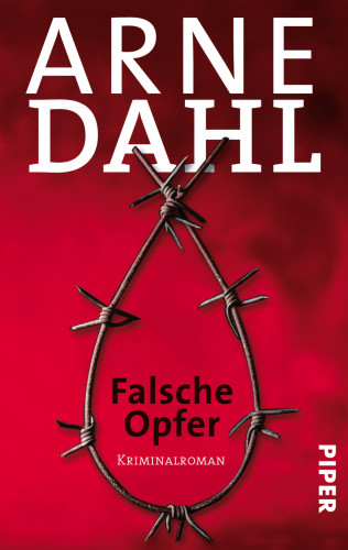 Arne Dahl: Falsche Opfer