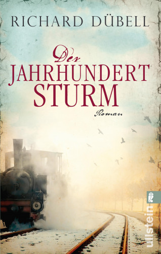 Richard Dübell: Der Jahrhundertsturm