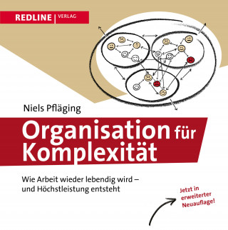 Niels Pfläging: Organisation für Komplexität