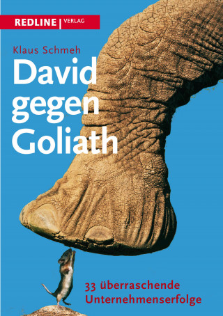 Klaus Schmeh: David gegen Goliath