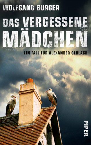 Wolfgang Burger: Das vergessene Mädchen