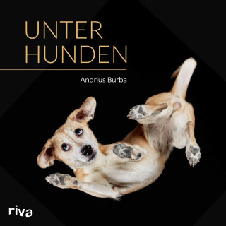 Andrius Burba: Unter Hunden