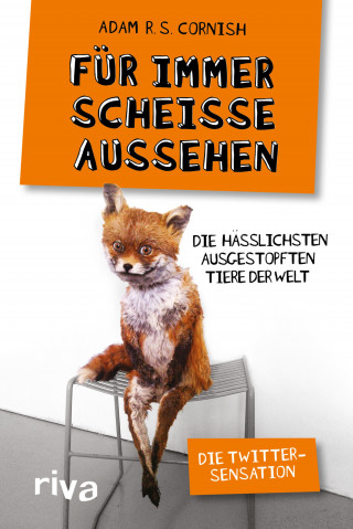 Adam R. S. Cornish: Für immer scheiße aussehen