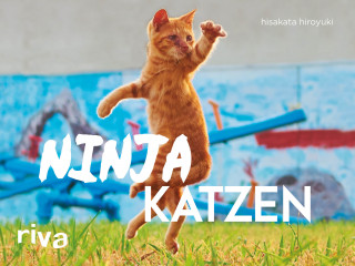 Hisakata Hiroyuki: Ninjakatzen