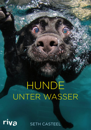 Seth Casteel: Hunde unter Wasser