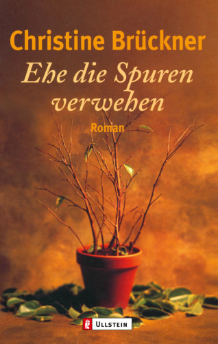 Christine Brückner: Ehe die Spuren verwehen