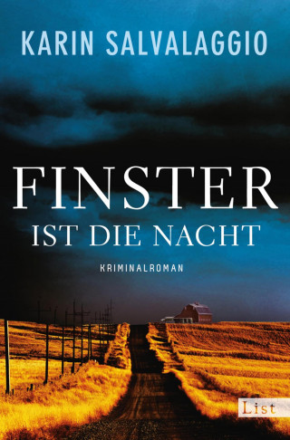 Karin Salvalaggio: Finster ist die Nacht