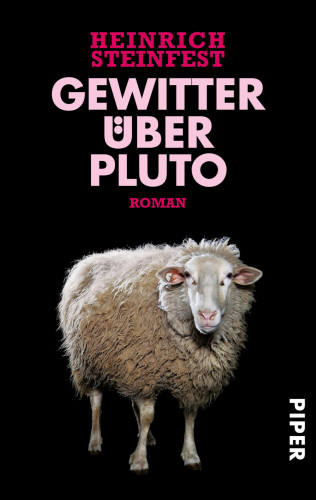 Heinrich Steinfest: Gewitter über Pluto