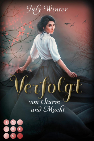 July Winter: Verfolgt von Sturm und Macht (Sturmwanderer 1)