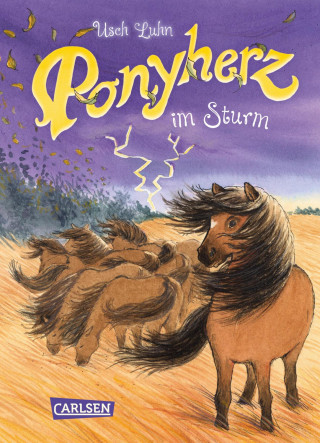 Usch Luhn: Ponyherz 14: Ponyherz im Sturm