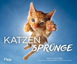 Seth Casteel: Katzensprünge