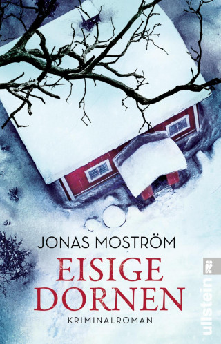 Jonas Moström: Eisige Dornen