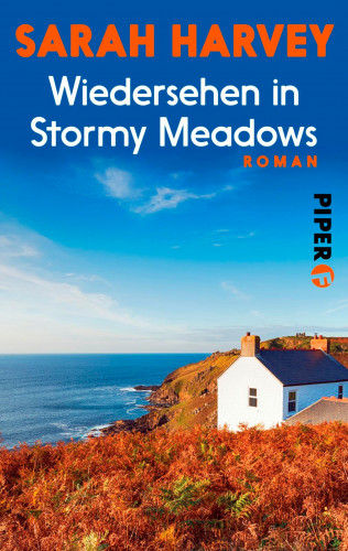 Sarah Harvey: Wiedersehen in Stormy Meadows