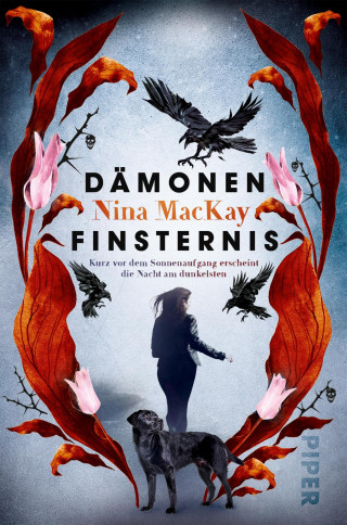Nina MacKay: Dämonenfinsternis