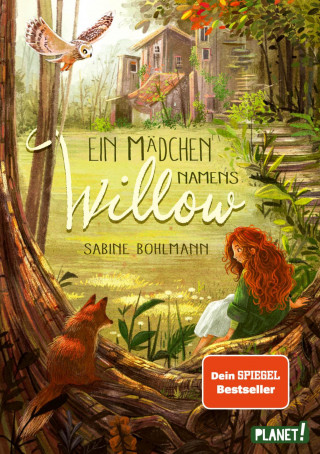 Sabine Bohlmann: Ein Mädchen namens Willow 1: Ein Mädchen namens Willow