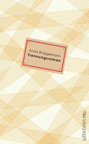 Anna Brüggemann: Trennungsroman