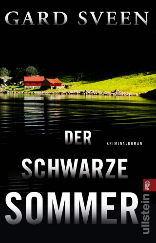 Gard Sveen: Der schwarze Sommer