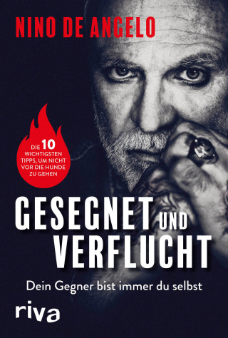 Nino de Angelo: Gesegnet und verflucht