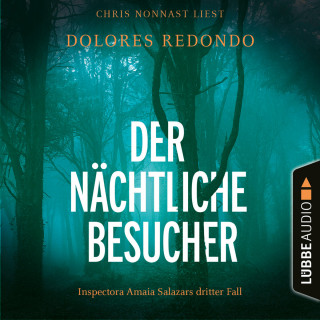 Dolores Redondo: Der nächtliche Besucher - Inspectora Amaia Salazars dritter Fall - Die Baztán-Trilogie, Teil 3 (Ungekürzt)