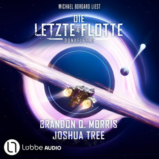 Brandon Q. Morris, Joshua Tree: Dunkelfeld - Die Letzte Flotte, Teil 4 (Ungekürzt)